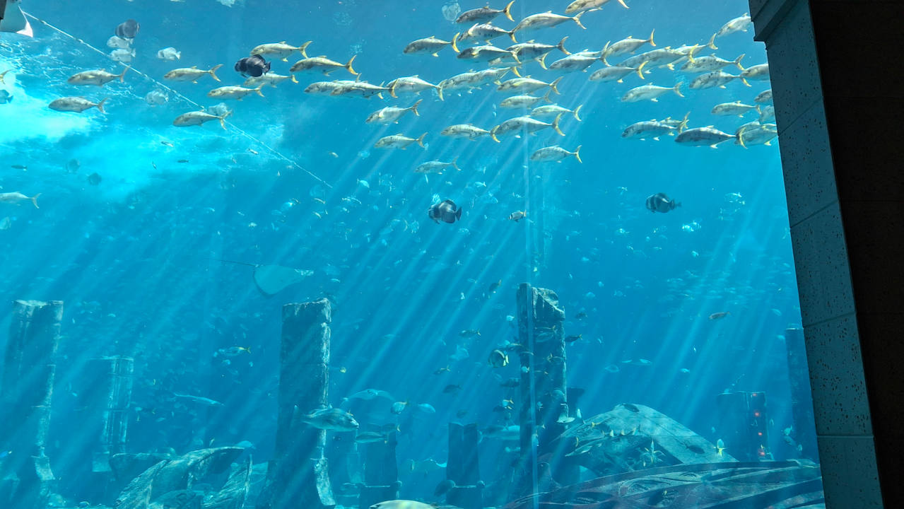 Lobby Atlantis, The Palm