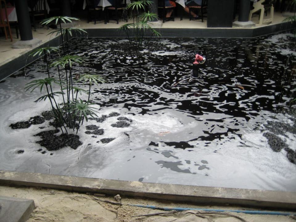 Geruchsbelästigung im Restaurant Adaaran Select Hudhuran Fushi - Premium All Inclusive