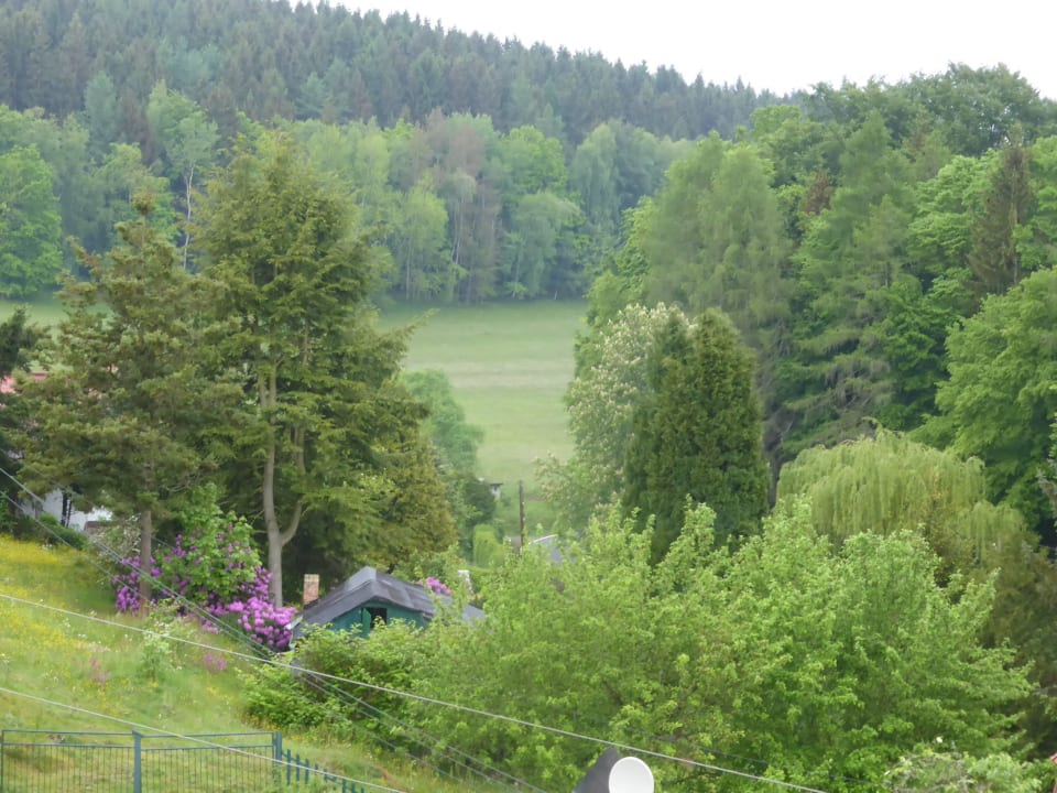 Blick aus dem Zimmer Hotel Jägerklause