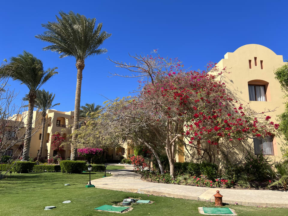 Gartenanlage Steigenberger Coraya Beach - Adults only