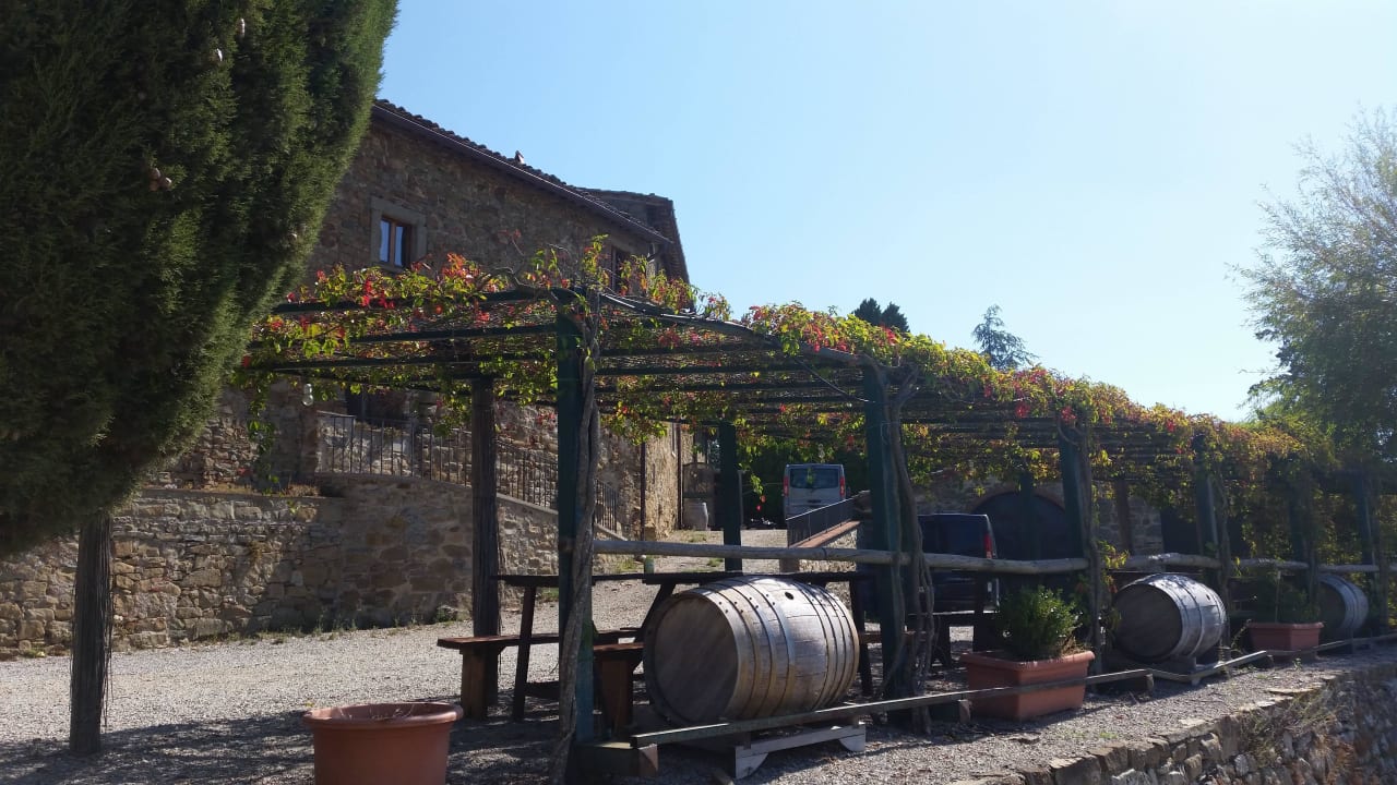 Schattiges Plätzchen hinter dem Restaurant Hotel Fattoria Castelvecchi