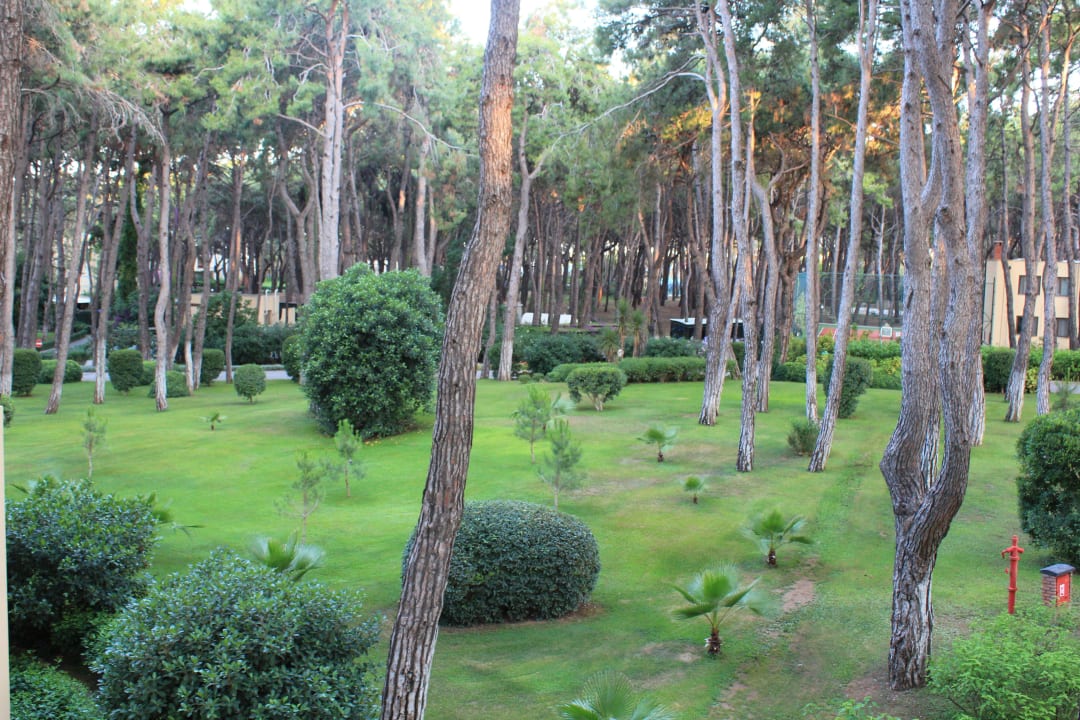 Вид с балкона  Turquoise Hotel