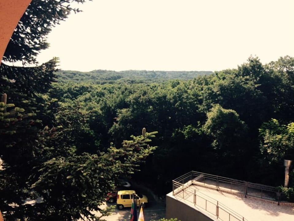 Der Ausblick HVD Viva Club Hotel