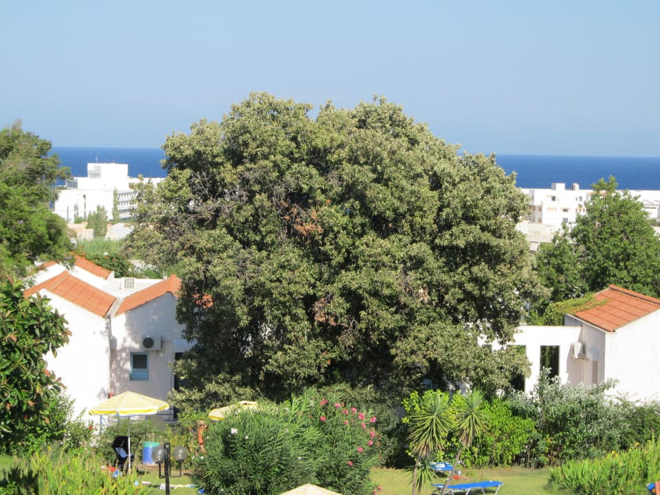 Kalithea Sky + Blick auf das Meer Hotel Kalithea Sun & Sky