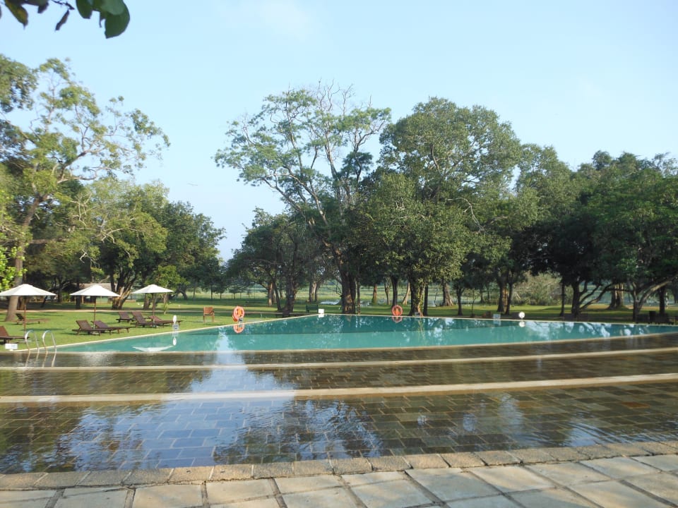 Pool Habarana Village by Cinnamon