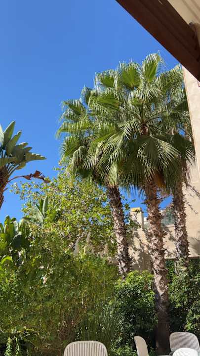 Gartenanlage Paloma Pasha