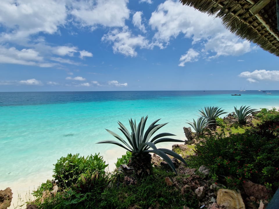 Ausblick Royal Zanzibar Beach Resort