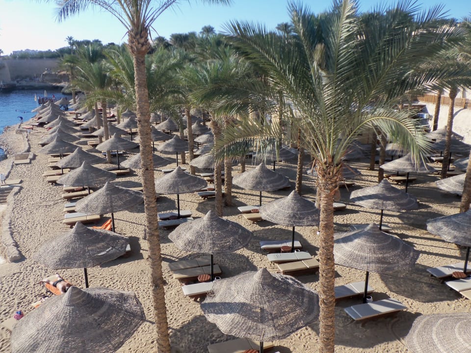 Strand unter Palmen The Grand Hotel Sharm El Sheikh