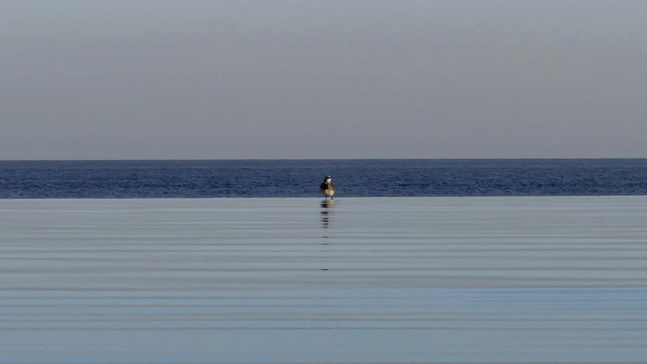 Ausblick Makadi Spa - Adults only