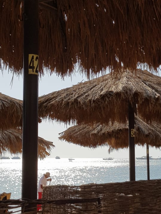 Strand Jaz Makadina