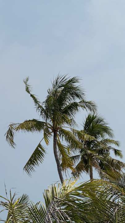 Strand Jawakara Islands Maldives