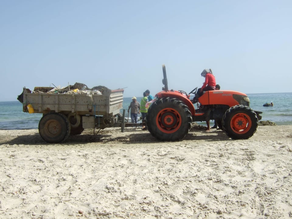 Tägliche Strandsäuberung Hotel Neptunia Skanes