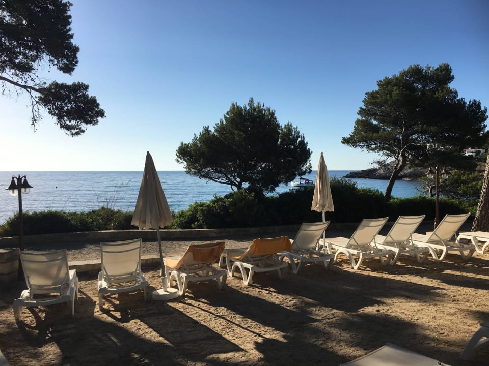Pool- und Liegebereich Iberostar Waves Pinos Park
