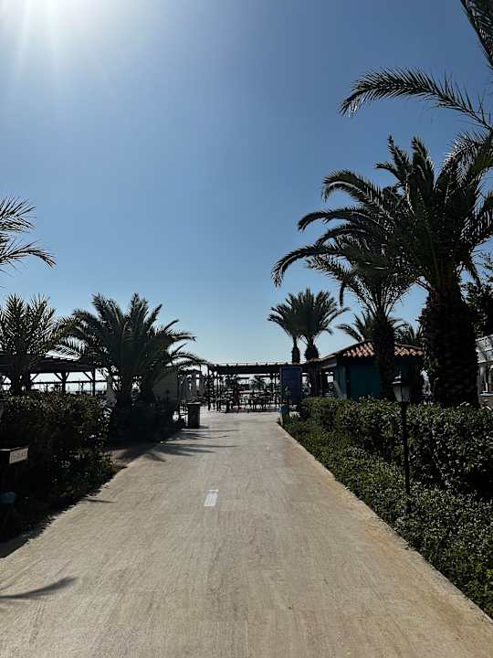 Gartenanlage Hotel Club Nena