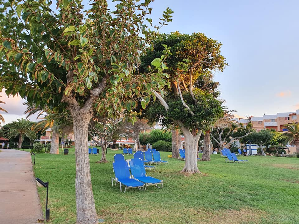 Gartenanlage Anissa Beach & Village