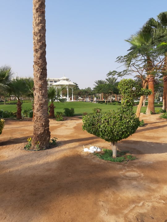 Gartenanlage Steigenberger Aqua Magic