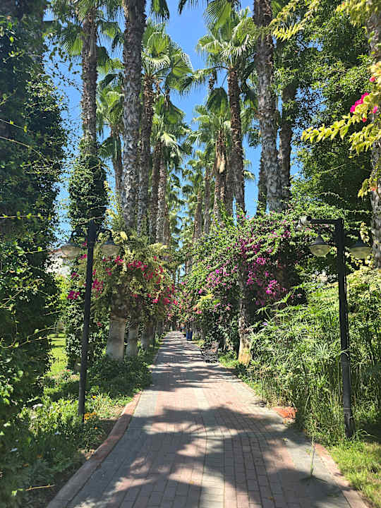 Gartenanlage Hotel Gardenia Beach