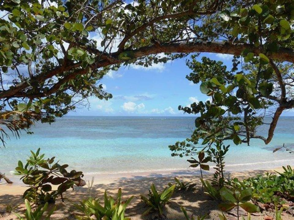 Strand links Bahia Principe Grand El Portillo