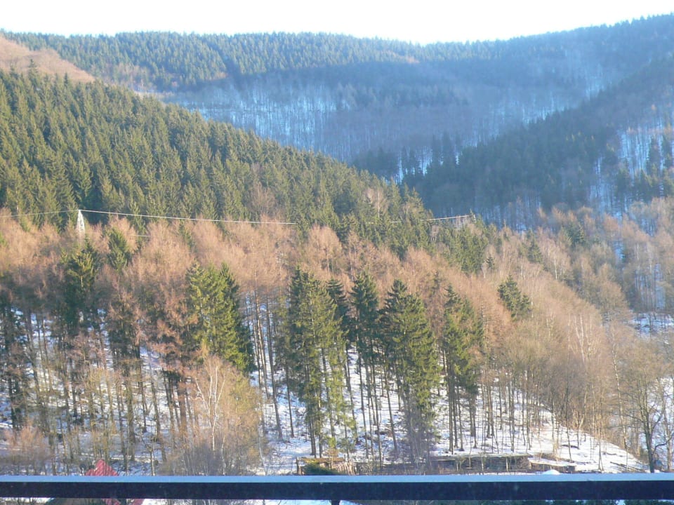 Blick vom Balkon Panoramic - Ihr Apartmenthotel im Harz