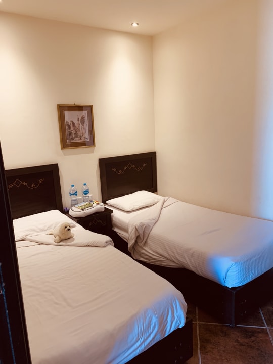 Zimmer Three Corners Sea Beach Resort