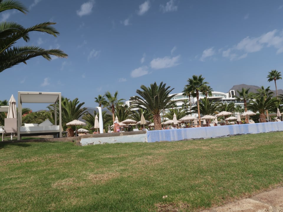 Garten Hotel Riu Palace Tenerife
