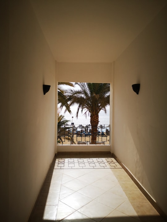 Sonstiges Blue Reef Red Sea Resort