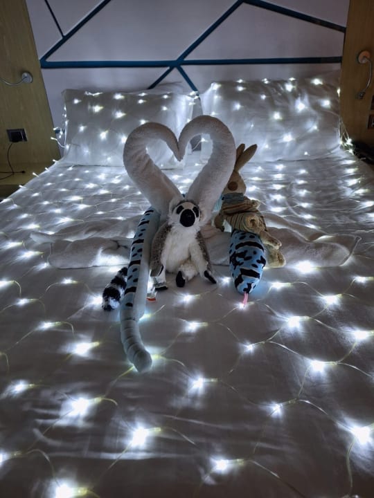 Zimmer Gravity Hotel & Aquapark Sahl Hasheesh