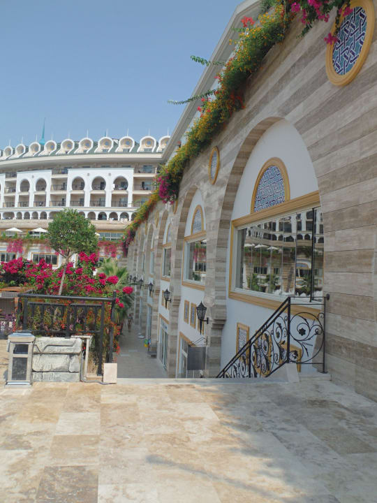 Wege Crystal Sunset Pearl Collection