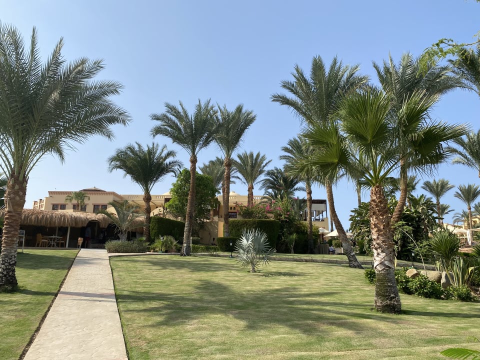 Gartenanlage Steigenberger Coraya Beach - Adults only