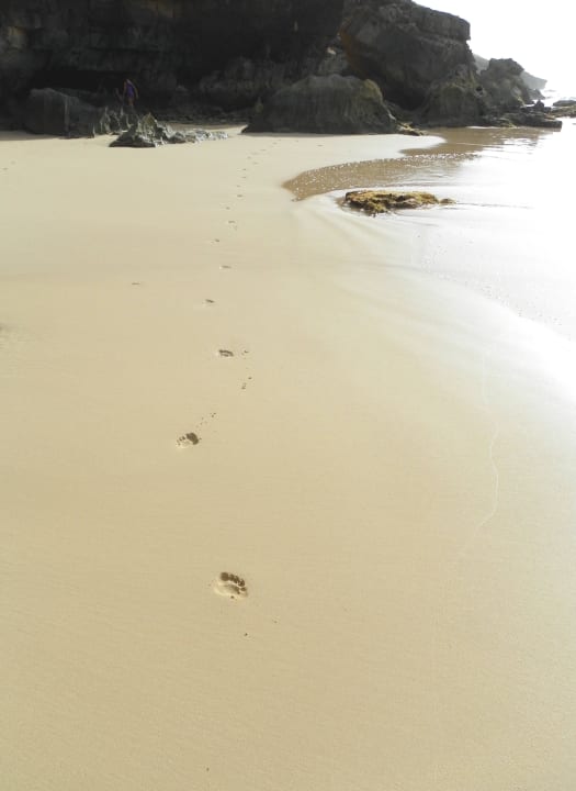 Suren im Sand Hotel Riu Touareg