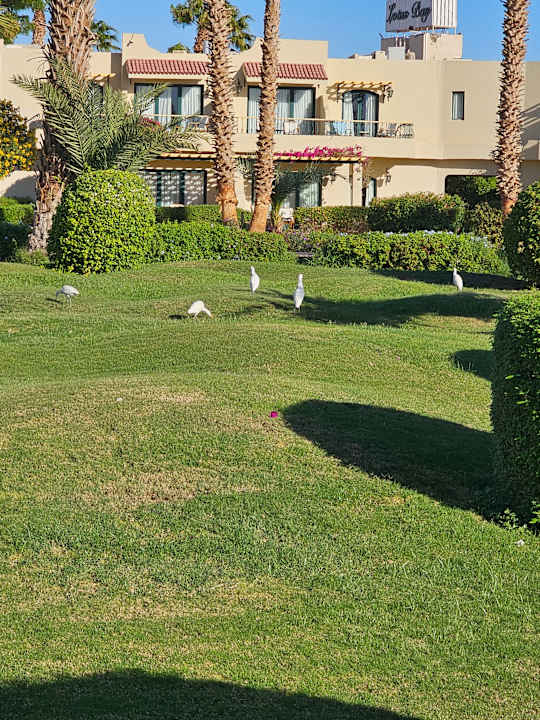 Gartenanlage Lotus Bay Beach Resort