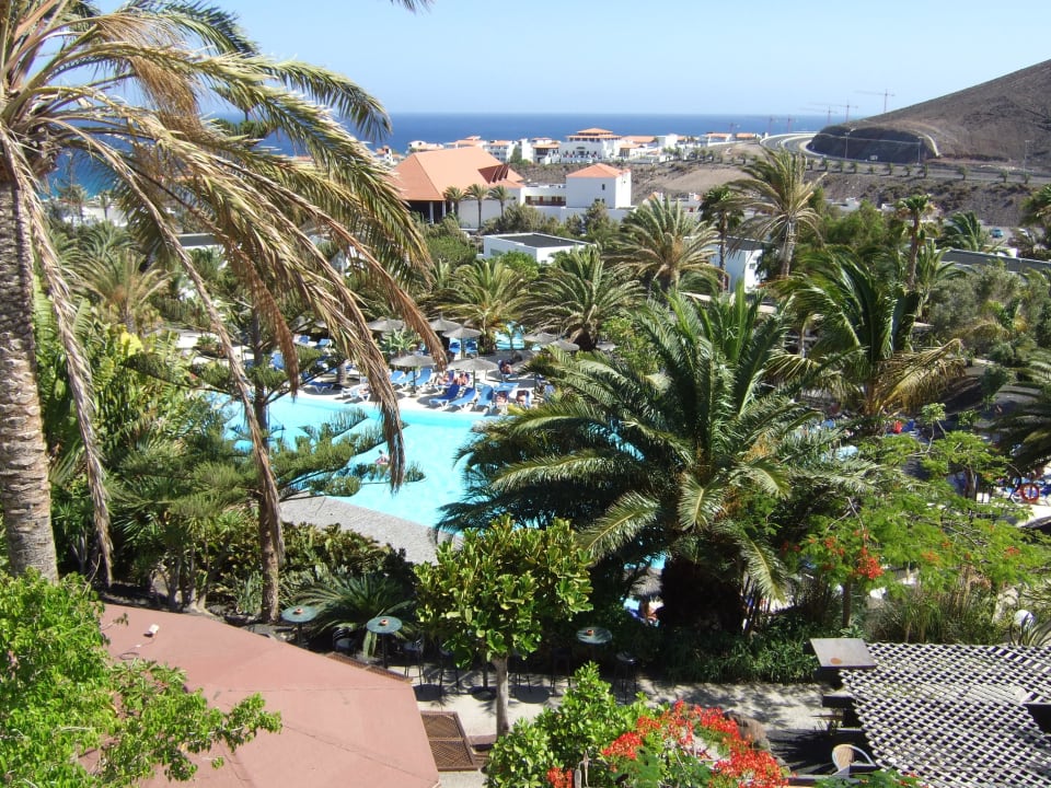 Ausblick über die Anlage allsun App.-Hotel Esquinzo Beach