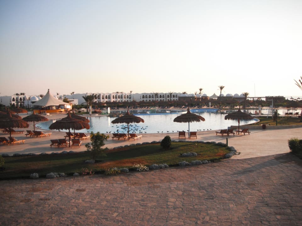 Poolanlage Hotel Gorgonia Beach Resort