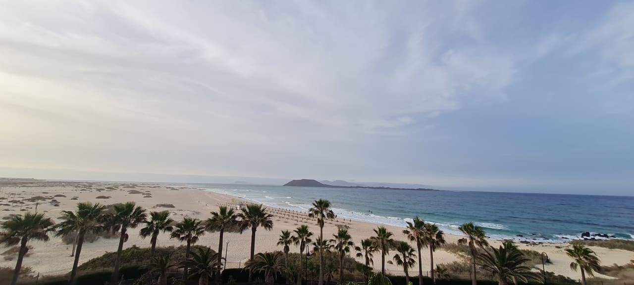 Ausblick Hotel Riu Palace Tres Islas