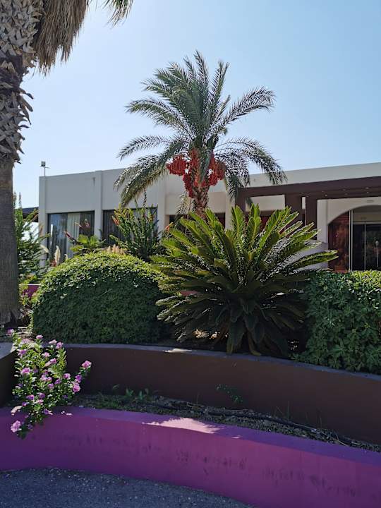 Außenansicht Afandou Bay Resort Suites