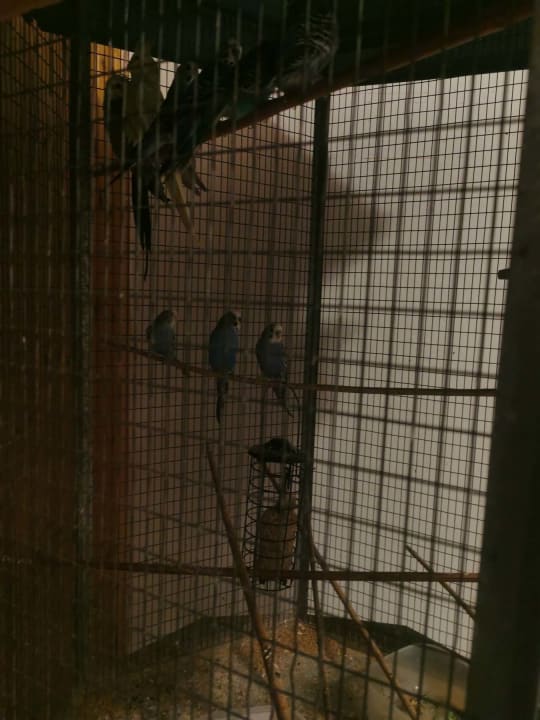 Sonstiges Pension Alla Pineta