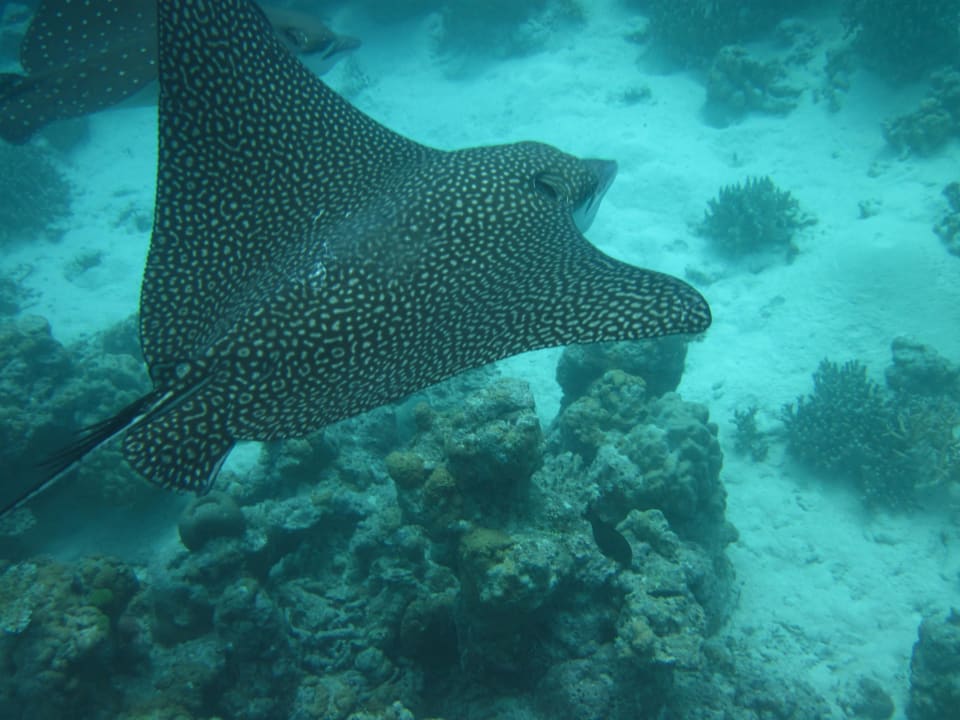 Embudu Juni 2013 Embudu Village