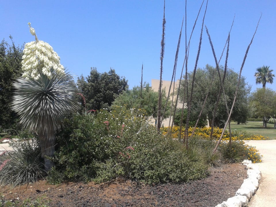 Na terenie hotelu VOI Arenella Resort