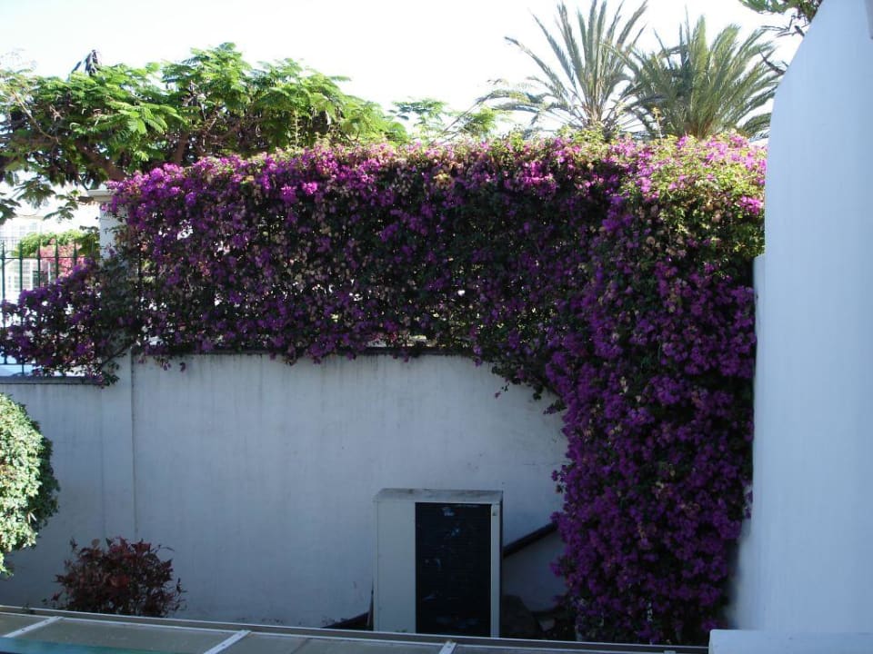 Hotel Colon Guanahani Adrián Hoteles Colón Guanahaní - Adults only