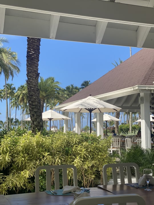 Gastro Viva V Samana by Wyndham – Adults Only