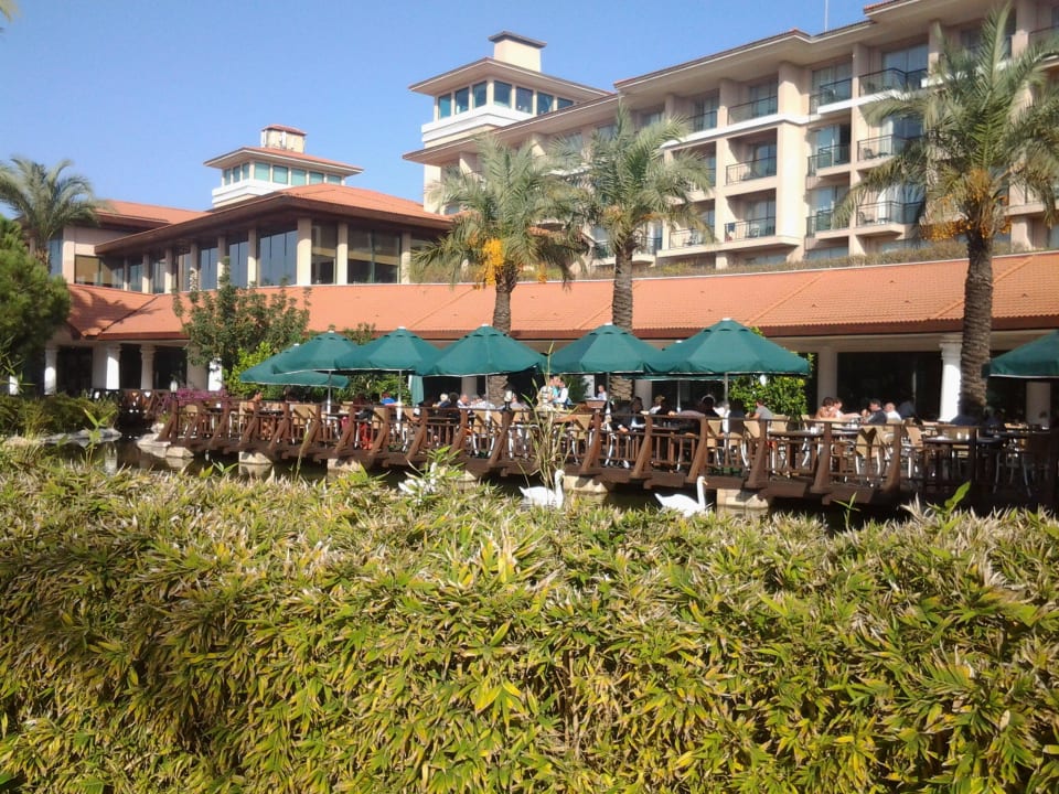 Außenterrasse Restaurant IC Hotels Green Palace