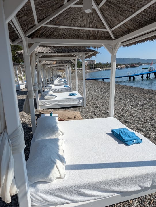 Pool ROBINSON ÇAMYUVA