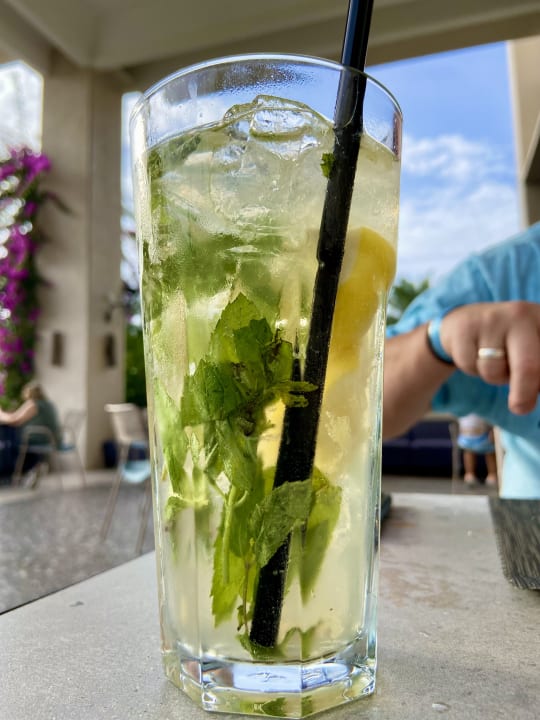 Gastro PALOMA Perissia