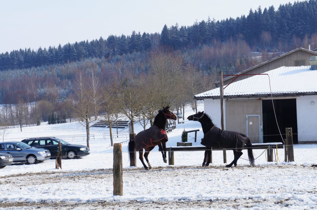 Am Reitstall Aldiana Club Ampflwang