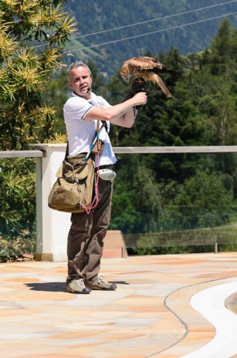 Flugshow Hotel Panorama