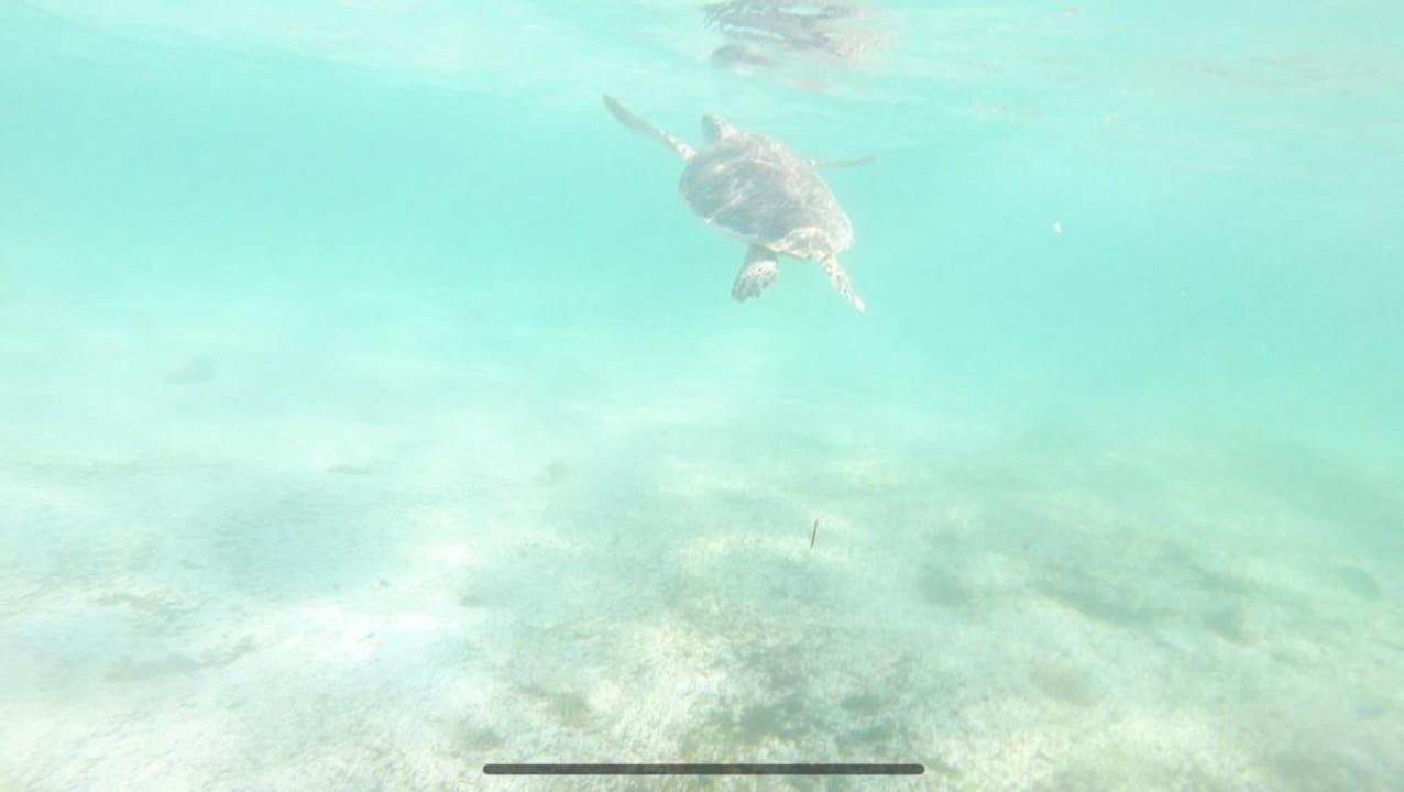 Sport & Freizeit Akumal Bay Beach & Wellness Resort