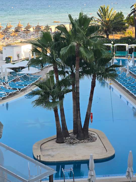 Gartenanlage Aparthotel Paraiso De Alcudia