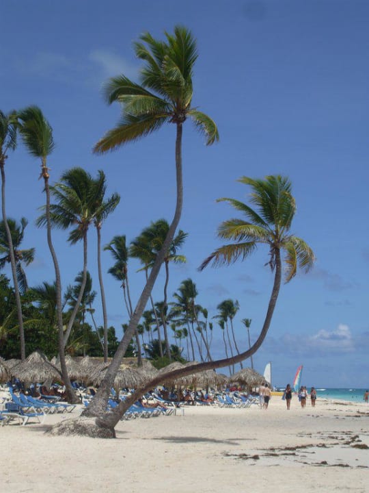 Strandspaziergang Ocean Blue & Sand