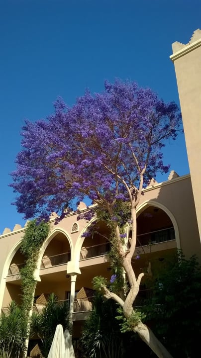 Ausblick Makadi Palace