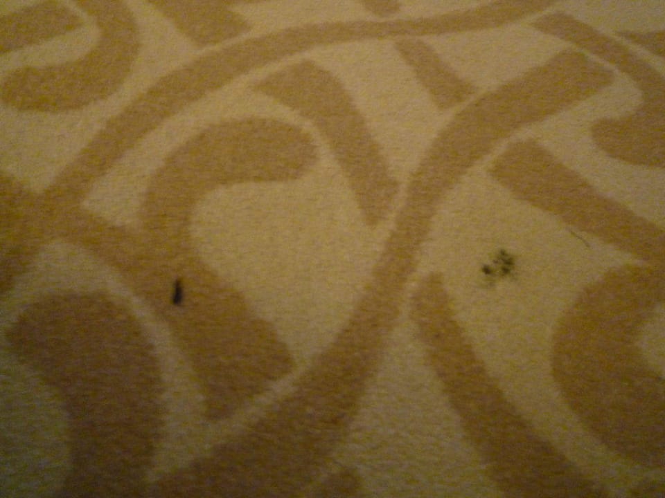 Teppichboden FUN&SUN Smart Hane Sun Hotel